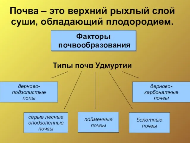 Почва – это верхний рыхлый слой суши, обладающий плодородием. Типы