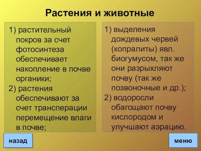 Растения и животные 1) растительный покров за счет фотосинтеза обеспечивает