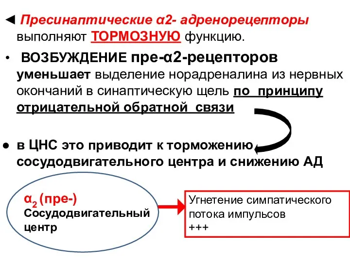 ◄ Пресинаптические α2- адренорецепторы выполняют ТОРМОЗНУЮ функцию. ВОЗБУЖДЕНИЕ пре-α2-рецепторов уменьшает