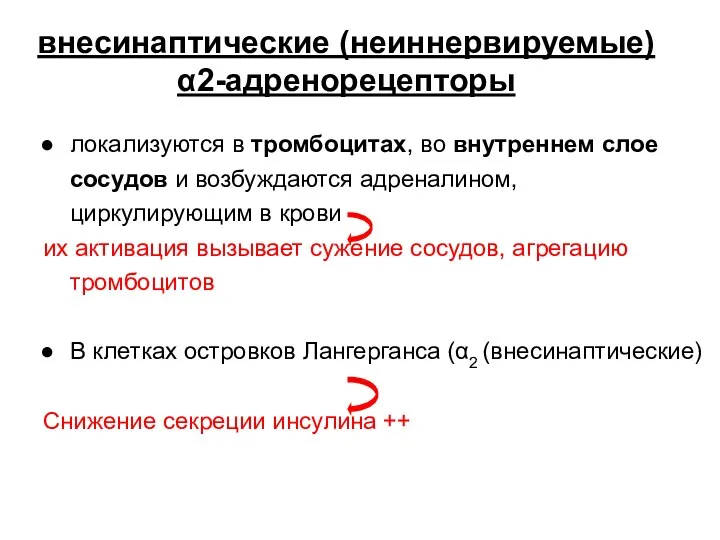 внесинаптические (неиннервируемые) α2-адренорецепторы локализуются в тромбоцитах, во внутреннем слое сосудов