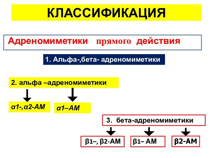 КЛАССИФИКАЦИЯ Адреномиметики прямого действия 2. альфа –адреномиметики 3. бета-адреномиметики α1-,α2-АМ