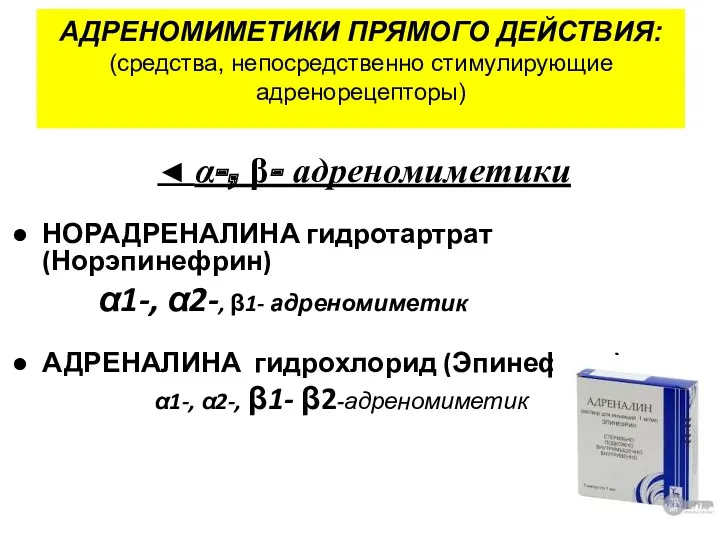 АДРЕНОМИМЕТИКИ ПРЯМОГО ДЕЙСТВИЯ: (средства, непосредственно стимулирующие адренорецепторы) ◄ α-, β-