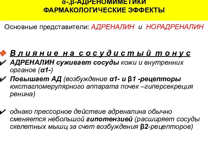 α-,β-АДРЕНОМИМЕТИКИ ФАРМАКОЛОГИЧЕСКИЕ ЭФФЕКТЫ Основные представители: АДРЕНАЛИН и НОРАДРЕНАЛИН В л