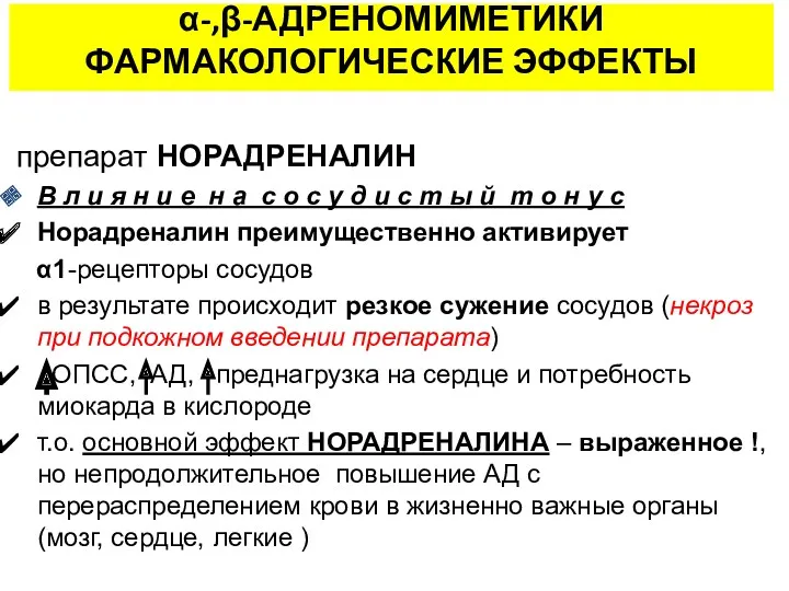 α-,β-АДРЕНОМИМЕТИКИ ФАРМАКОЛОГИЧЕСКИЕ ЭФФЕКТЫ препарат НОРАДРЕНАЛИН В л и я н