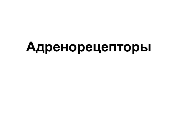 Адренорецепторы