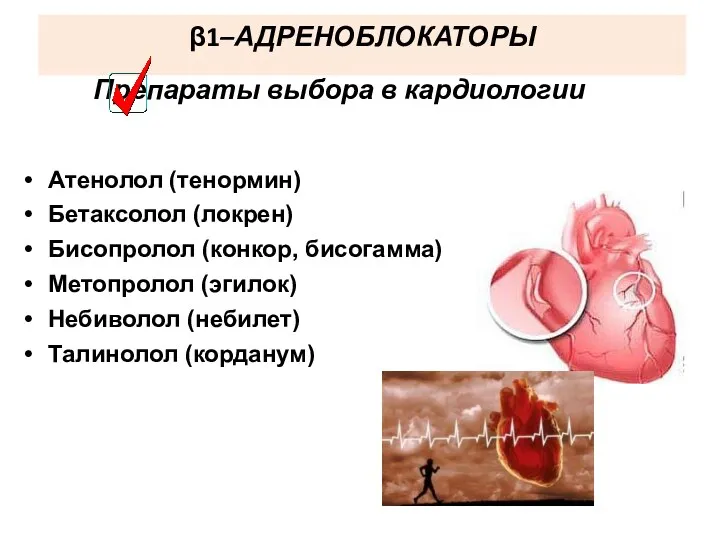 β1–АДРЕНОБЛОКАТОРЫ Препараты выбора в кардиологии Атенолол (тенормин) Бетаксолол (локрен) Бисопролол