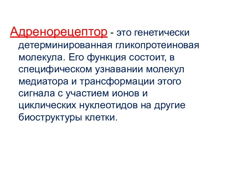 Адренорецептор - это генетически детерминированная гликопротеиновая молекула. Его функция состоит, в специфическом узнавании