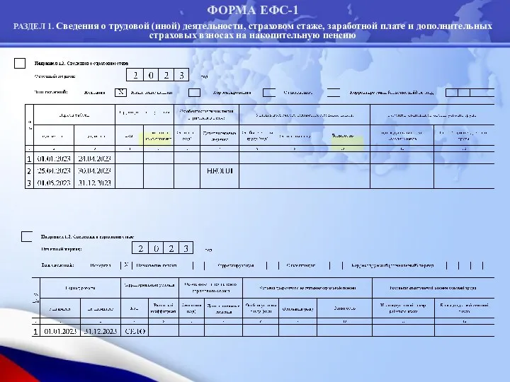 ФОРМА ЕФС-1 РАЗДЕЛ 1. Сведения о трудовой (иной) деятельности, страховом стаже, заработной плате