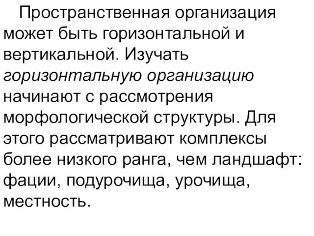 Пространственная организация может быть горизонтальной и вертикальной. Изучать горизонтальную организацию