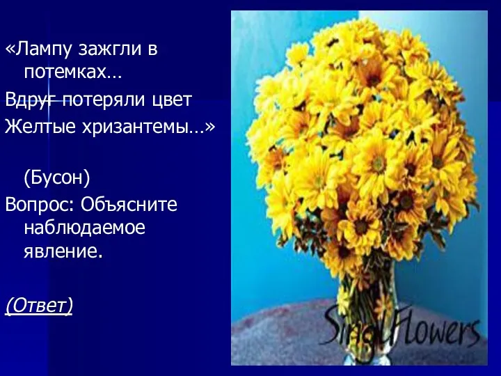 «Лампу зажгли в потемках… Вдруг потеряли цвет Желтые хризантемы…» (Бусон) Вопрос: Объясните наблюдаемое явление. (Ответ)