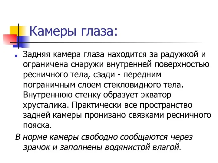 Камеры глаза: Задняя камера глаза находится за радужкой и ограничена