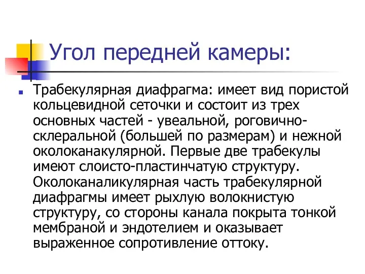 Угол передней камеры: Трабекулярная диафрагма: имеет вид пористой кольцевидной сеточки