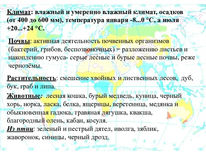 Растительность: смешение хвойных и лиственных лесов, дуб, бук, граб и