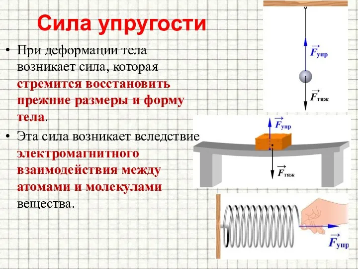 Сила упругости При деформации тела возникает сила, которая стремится восстановить