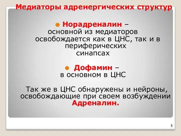 Медиаторы адренергических структур Норадреналин – основной из медиаторов освобождается как