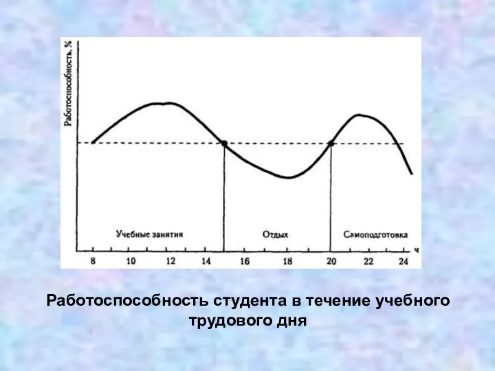 Работоспособность студента в течение учебного трудового дня