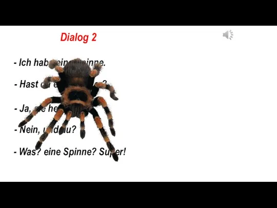 Dialog 2 - Ich habe eine Spinne. - Hast du