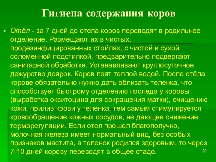 Гигиена содержания коров Отёл - за 7 дней до отела