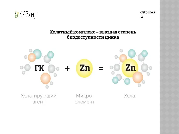 cytolife.ru Хелатный комплекс – высшая степень биодоступности цинка