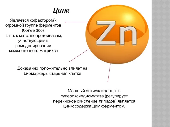 Цинк: Является кофактором к огромной группе ферментов (более 300), в