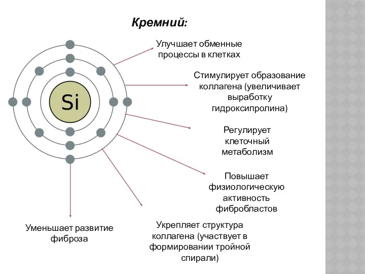 Уменьшает развитие фиброза Кремний: Улучшает обменные процессы в клетках Стимулирует