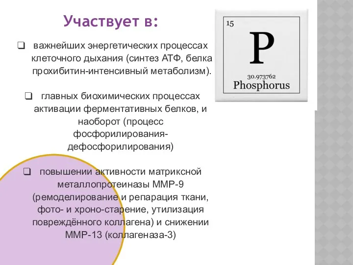 важнейших энергетических процессах клеточного дыхания (синтез АТФ, белка прохибитин-интенсивный метаболизм).