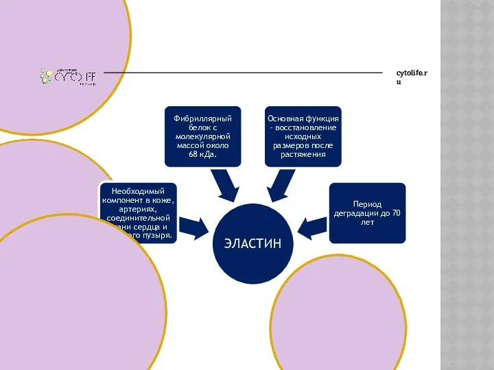 cytolife.ru