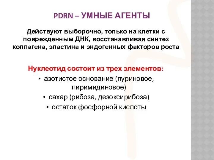 Нуклеотид состоит из трех элементов: азотистое основание (пуриновое, пиримидиновое) сахар