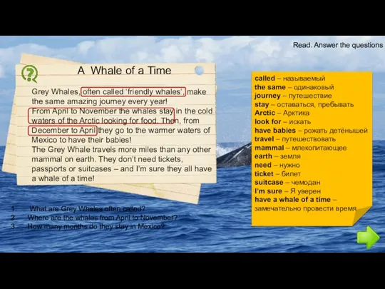 Read. Answer the questions What are Grey Whales often called?