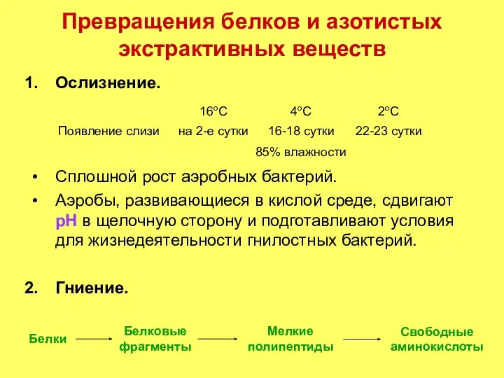 Превращения белков и азотистых экстрактивных веществ Ослизнение. Сплошной рост аэробных