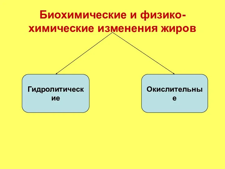 Биохимические и физико-химические изменения жиров Гидролитические Окислительные