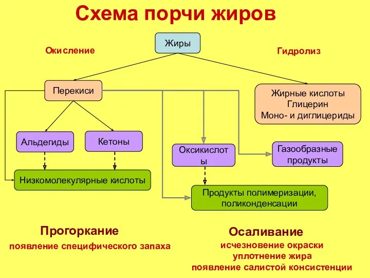 Схема порчи жиров Жиры Перекиси Жирные кислоты Глицерин Моно- и