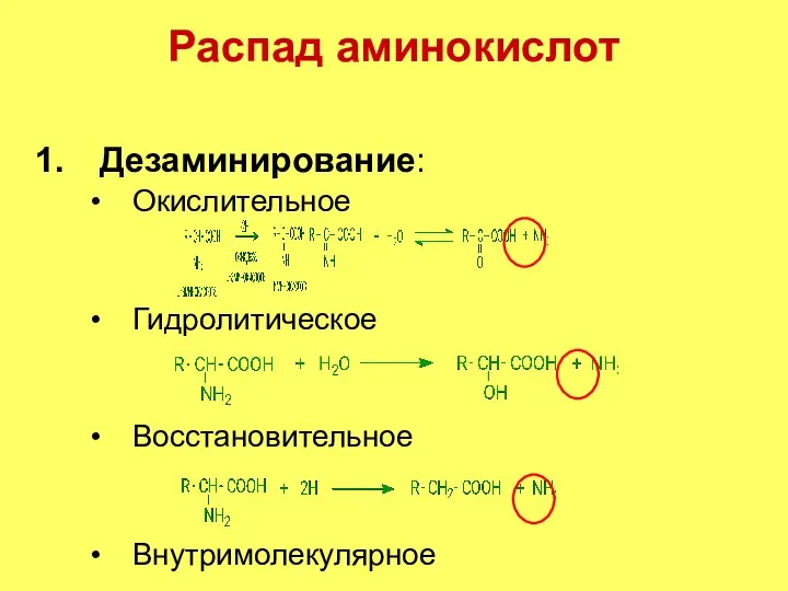 Распад аминокислот Дезаминирование: Окислительное Гидролитическое Восстановительное Внутримолекулярное