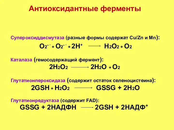 Супероксиддисмутаза (разные формы содержат Cu/Zn и Mn): О2- ∙ +