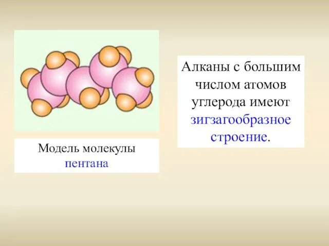 Модель молекулы пентана Алканы с большим числом атомов углерода имеют зигзагообразное строение.