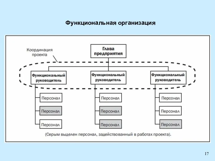 Функциональная организация