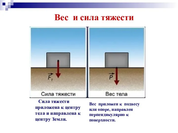 Вес и сила тяжести Сила тяжести приложена к центру тела