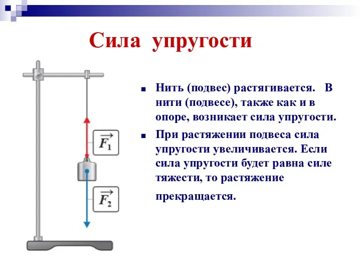 Сила упругости Нить (подвес) растягивается. В нити (подвесе), также как