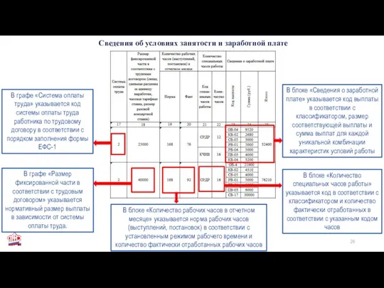 Сведения об условиях занятости и заработной плате В графе «Система