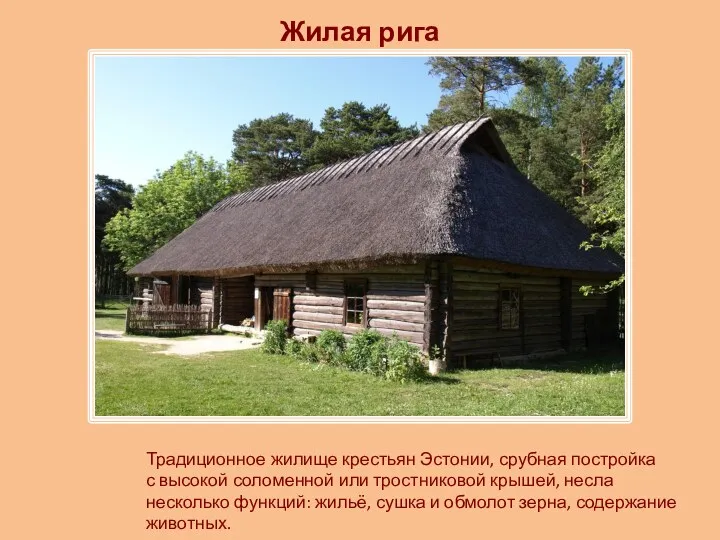 Жилая рига Традиционное жилище крестьян Эстонии, срубная постройка с высокой соломенной или тростниковой