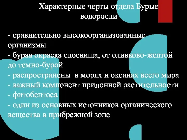 Характерные черты отдела Бурые водоросли - сравнительно высокоорганизованные организмы -