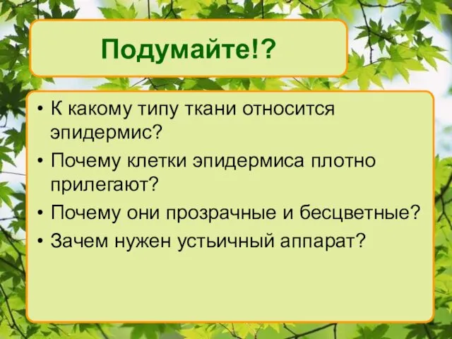 Подумайте!? К какому типу ткани относится эпидермис? Почему клетки эпидермиса