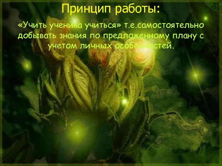 Принцип работы: «Учить ученика учиться» т.е.самостоятельно добывать знания по предложенному плану с учетом личных особенностей.