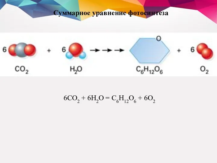 Суммарное уравнение фотосинтеза 6CO2 + 6H2O = C6H12O6 + 6O2