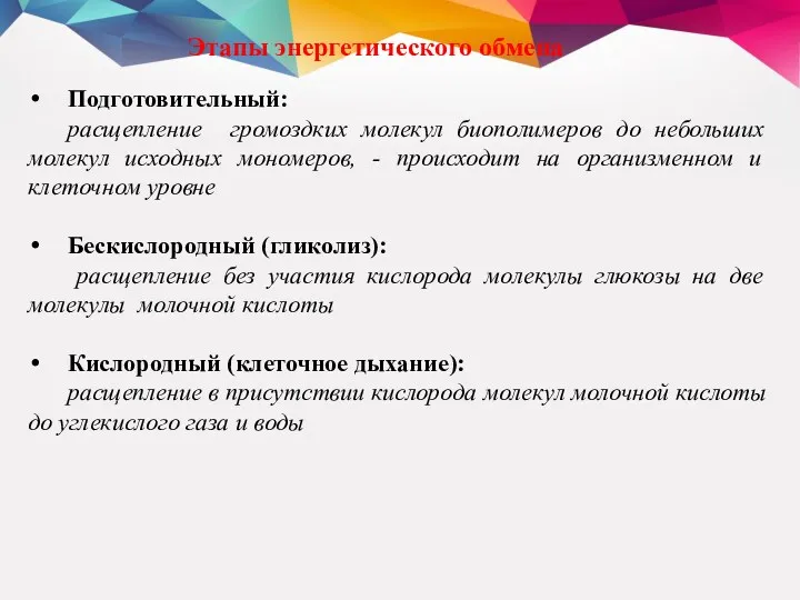 Этапы энергетического обмена Подготовительный: расщепление громоздких молекул биополимеров до небольших