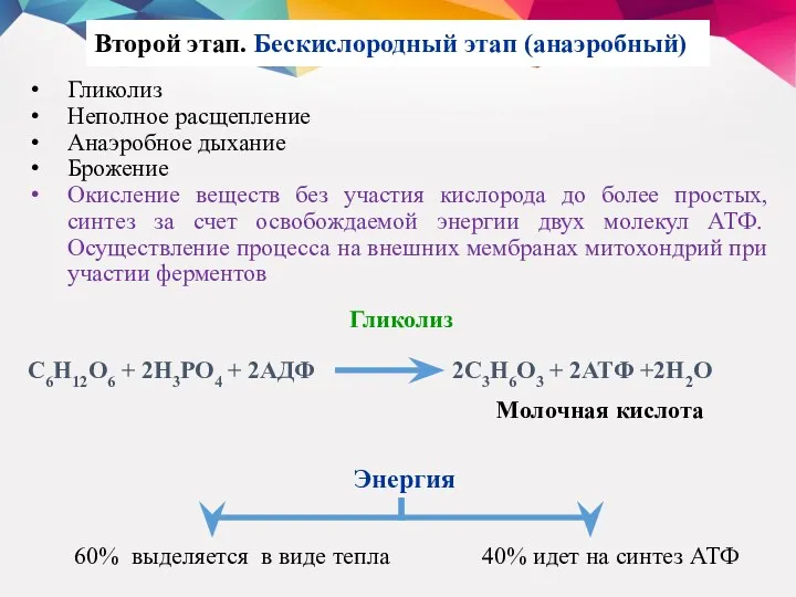 Второй этап. Бескислородный этап (анаэробный) Гликолиз Неполное расщепление Анаэробное дыхание