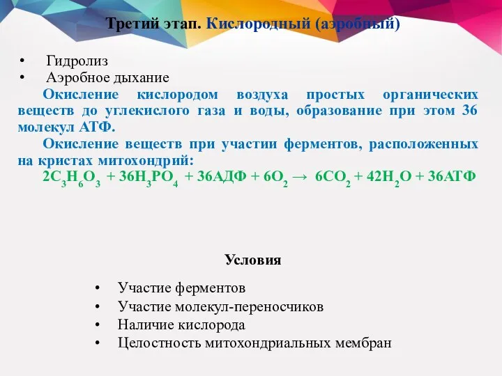 Третий этап. Кислородный (аэробный) Гидролиз Аэробное дыхание Окисление кислородом воздуха