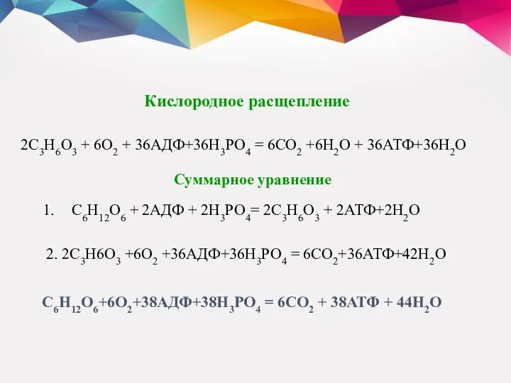 Кислородное расщепление 2С3Н6О3 + 6О2 + 36АДФ+36Н3РО4 = 6СО2 +6Н2О