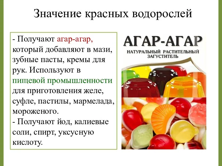 Значение красных водорослей - Получают агар-агар, который добавляют в мази,