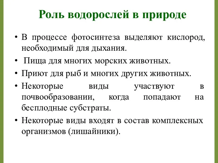 Роль водорослей в природе В процессе фотосинтеза выделяют кислород, необходимый